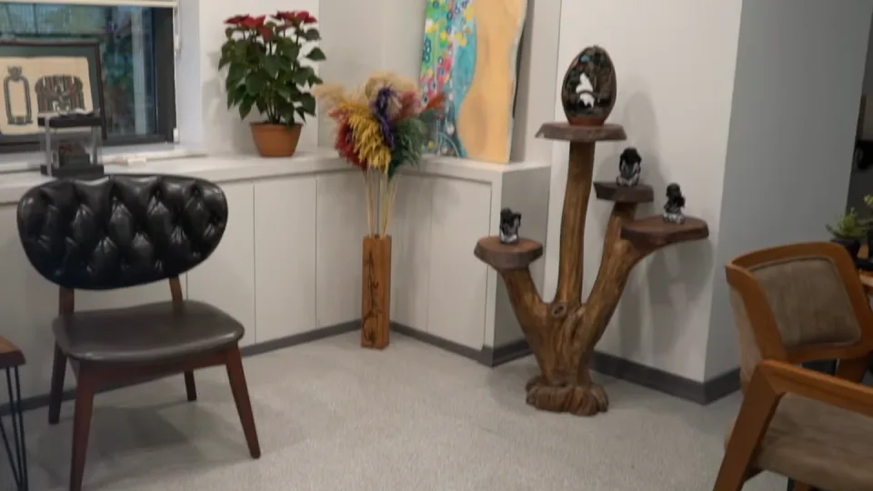 Consultation area within the Istanbul clinic